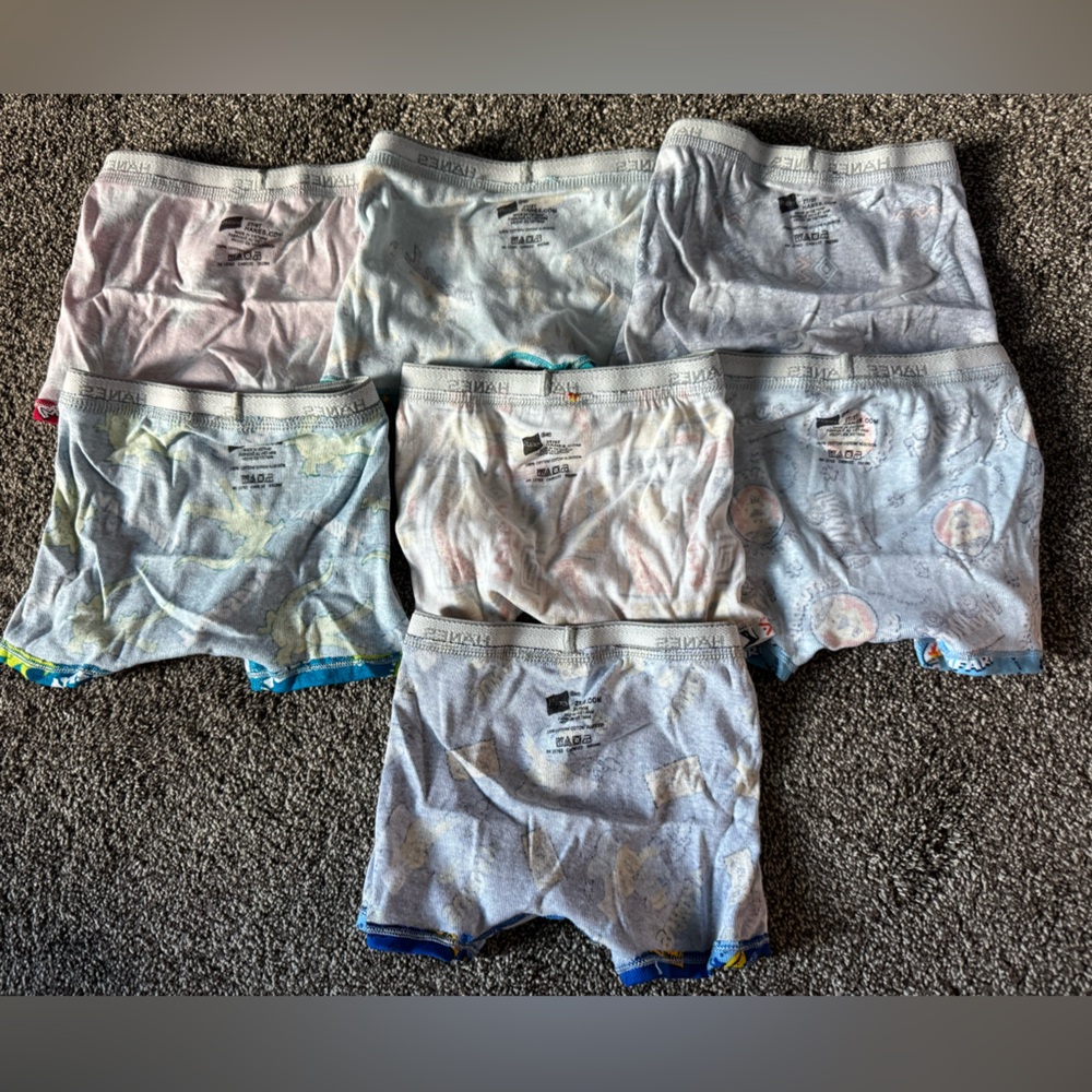 Hanes Boys' Underwear Set - Days of the Week Animal Theme NWOT - Picture 3 of 12